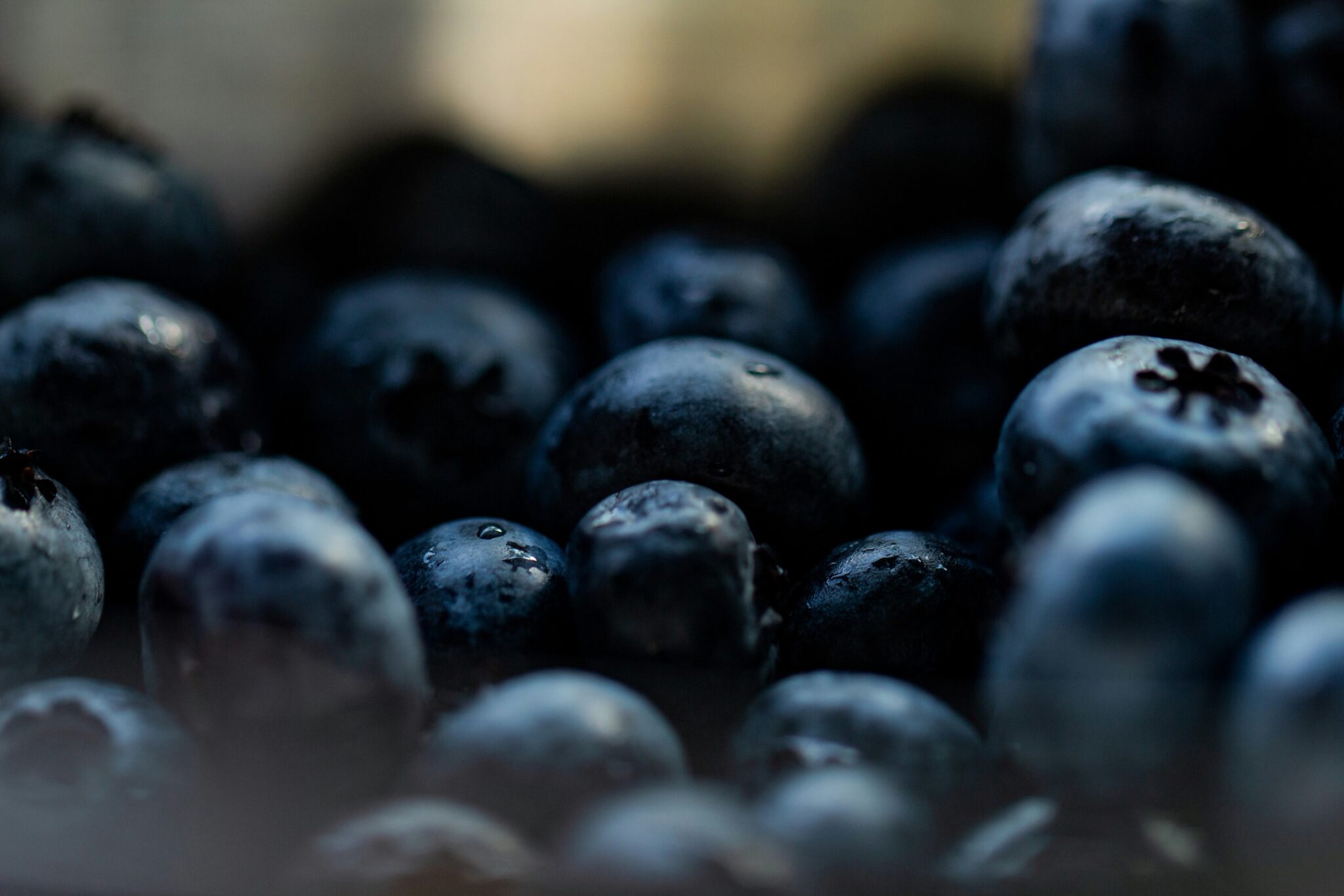 Nordic bilberry